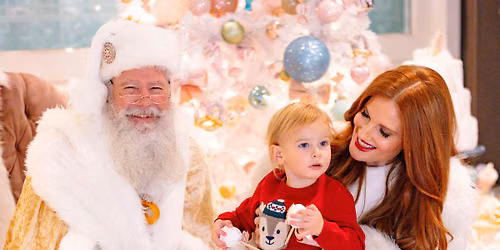 November 14 Whimsical Holiday Mini Sessions With Santa