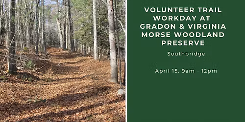 Gradon & Virginia Morse Woodland Preserve Volunteer Trail Workday
