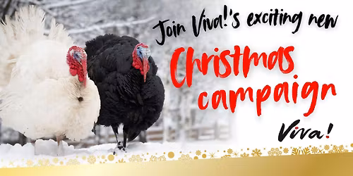 Hastings VIVA! Christmas Vegan Outreach