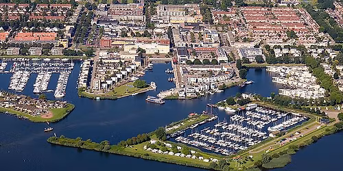 Swim to fight cancer