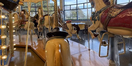 Carousel & Tunnels