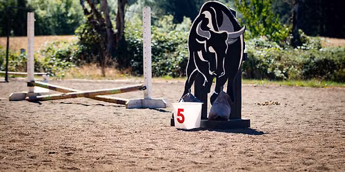 Working Equitation Obstacle Clinic 