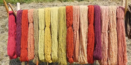  L\u00e6r at farve dit eget garn med plantefarver \ud83e\uddf6\ud83d\ude0d