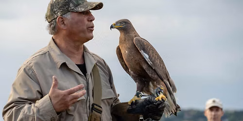 Raptor Encounter in Morgan Hill