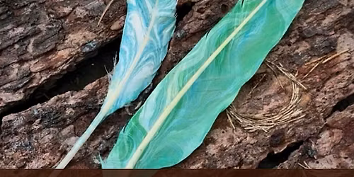 Enchanted Feather Workshop with Norah