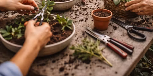 \ud83c\udf31 Propagation Class at Wild Roots \ud83c\udf31