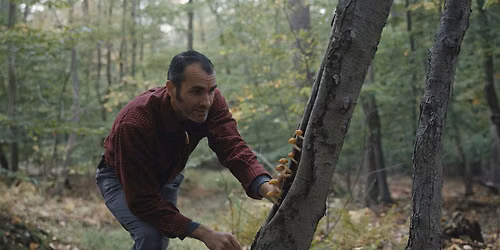 Class: Forestry with Van Wagner