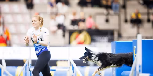 Janina Kantolan agilitykoulutus