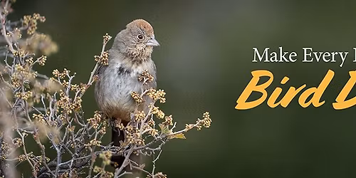 World Migratory Bird Day \/ Global Big Day