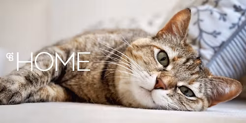 Stop in and see me today