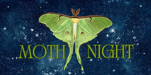 Spring Moth Night