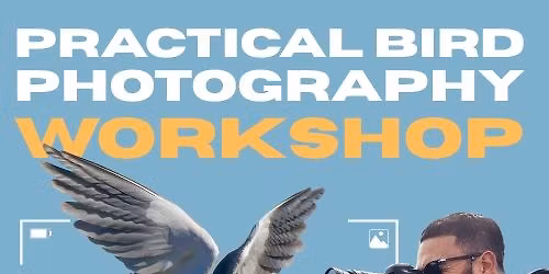 Marievale Bird Photography Workshop