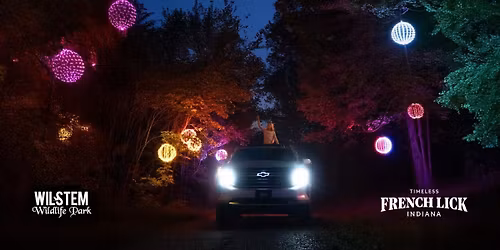 Wilstem Winter Light Show