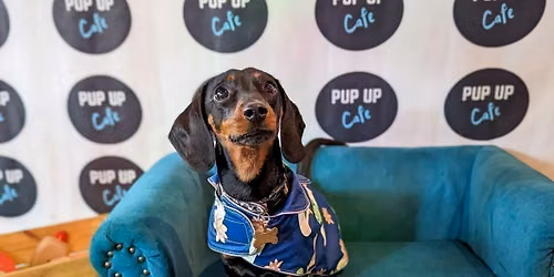 Cardiff - Dachshund Pup Up Cafe