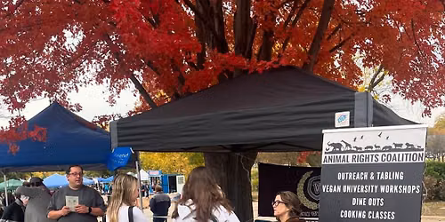 Riverwalk Market Fair