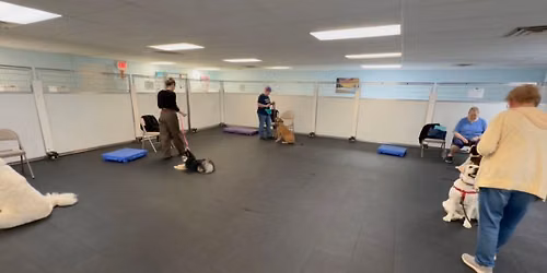 Therapy Dog Training Class
