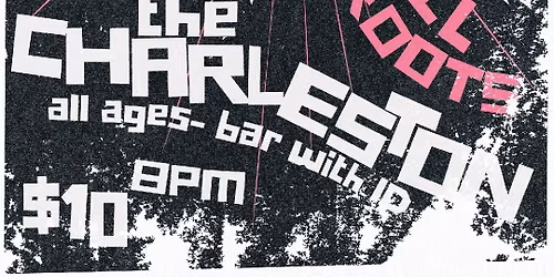 THE DISORDERLIES \/\/ STORM BOY \/\/ DULL ROOTS