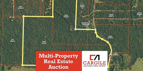Multi-Property Real Estate Auction (The Riley Estate)
