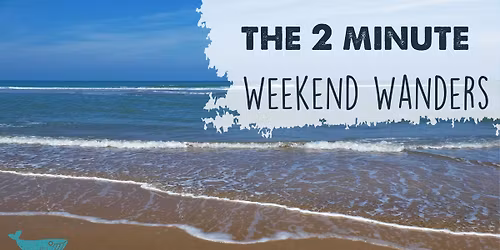Weekend Wander - World Ocean Day