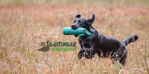 15. G\u00f6ttinger Workingtest