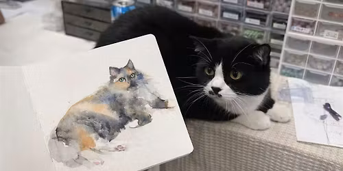 Watercolour Animal Painting Workshop in Glasgow | Calm & Relaxing Art Sessi