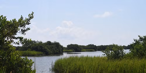 Guided Salt Run Paddle 