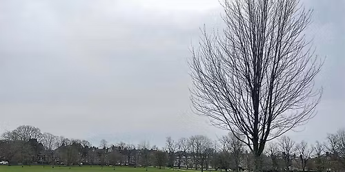 Weekend Wellbeing Walk - Short & relaxed - Harrogate Chronic pain Friendly