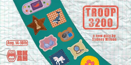 Troop 3200