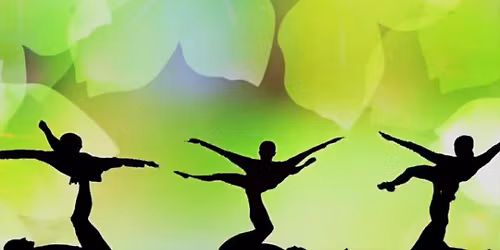 Catapult: The Amazing Magic of Shadow Dance