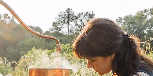 Summer Solstice Botanical Distillation w\/ Gathered Botanicals