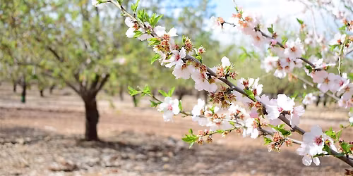 April Small Biz Networking Lunch