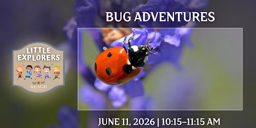 Little Explorers: Bug Adventures!