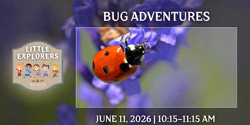 Little Explorers: Bug Adventures!