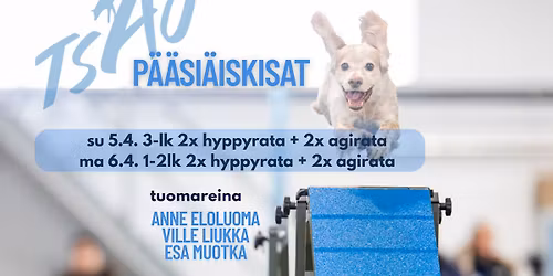 TSAUn p\u00e4\u00e4si\u00e4iskisat