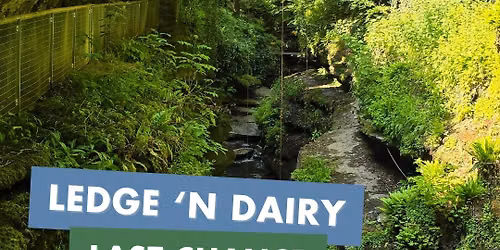 \u2018Ledge \u2018n\u2019 Dairy\u2019 Cheese Board 
