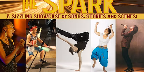 The SPARK Variety Show at the Puzzled Players Theater
