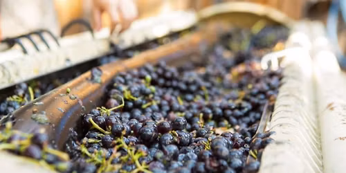 Dine & Discover - Domaine Pouillon\/Lushington Wines