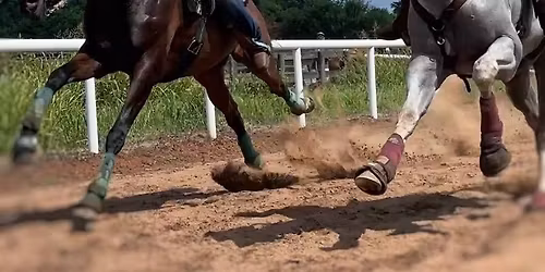 Quarter Mile Sprint Trials at the Georgia Equine and Ag Expo