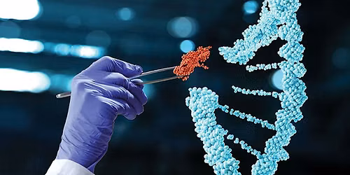 The Ethics of Making Babies: Genetic Selection and Gene Editing