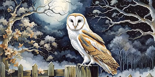 2025 Magickal Discoveries - Thee Witchy Con of the North 