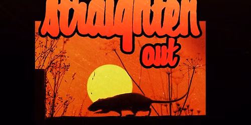 Straighten Out (The world\u2019s #1 Stranglers tribute)