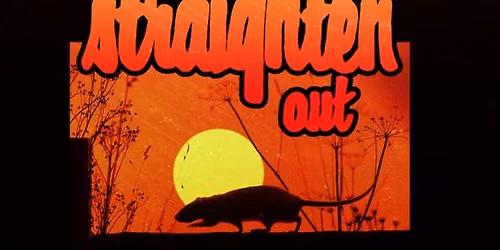 Straighten Out (The world\u2019s #1 Stranglers tribute)