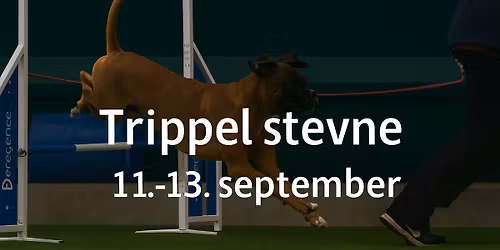 Trippel Rallylydighet stevne  11,12 og 13. september 2026