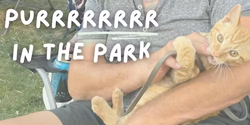 Purr in the Park at the Portland Pickles