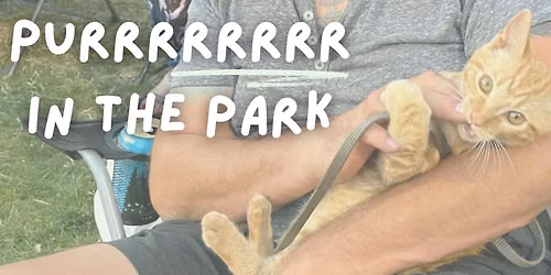 Purr in the Park at the Portland Pickles