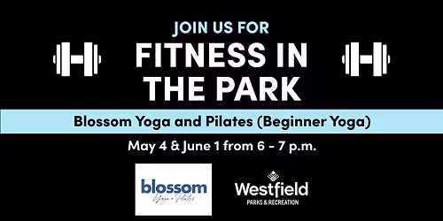 Fitness in the Park - Beginner Yoga