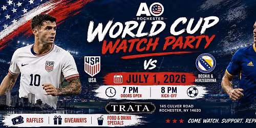 USA vs Bosnia & Herzegovina