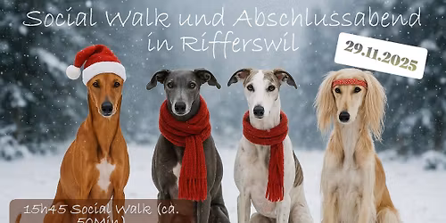 Social Walk & Abschlussabend
