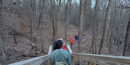 Birdwatching for Beginners Hike