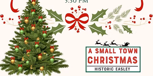 Easley Christmas Tree Lighting